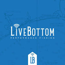 LiveBottom Popping Cork
