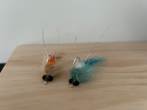 Fin & Seek