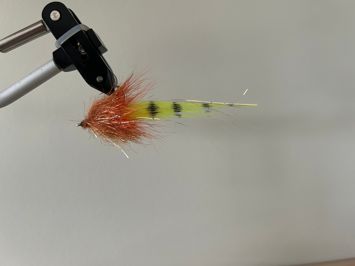Fin & Seek