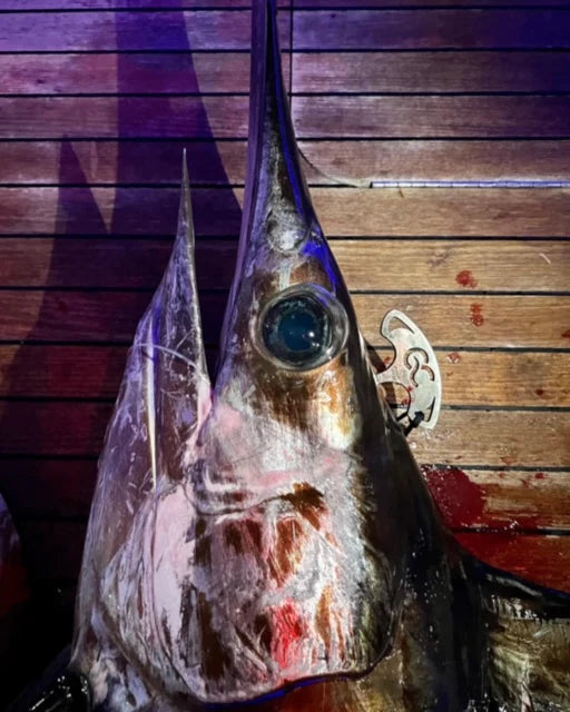 GC Fish Spike – HATTERAS JACK